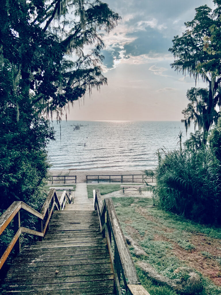 View from the top of a wooden stair which leads down to the beach and ocean. Green trees frame the calm ocean at sunrrise.
