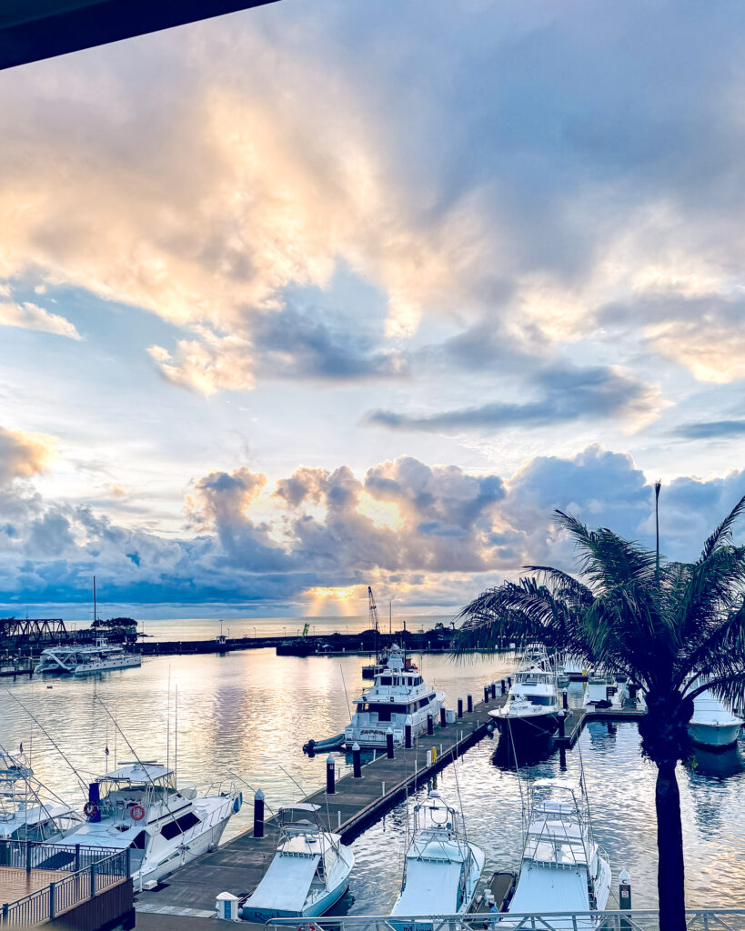 Through the window we see the yacht harbor at sunset with several yachts docked and the dock extends away from us with palm tree
